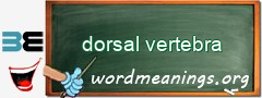 WordMeaning blackboard for dorsal vertebra